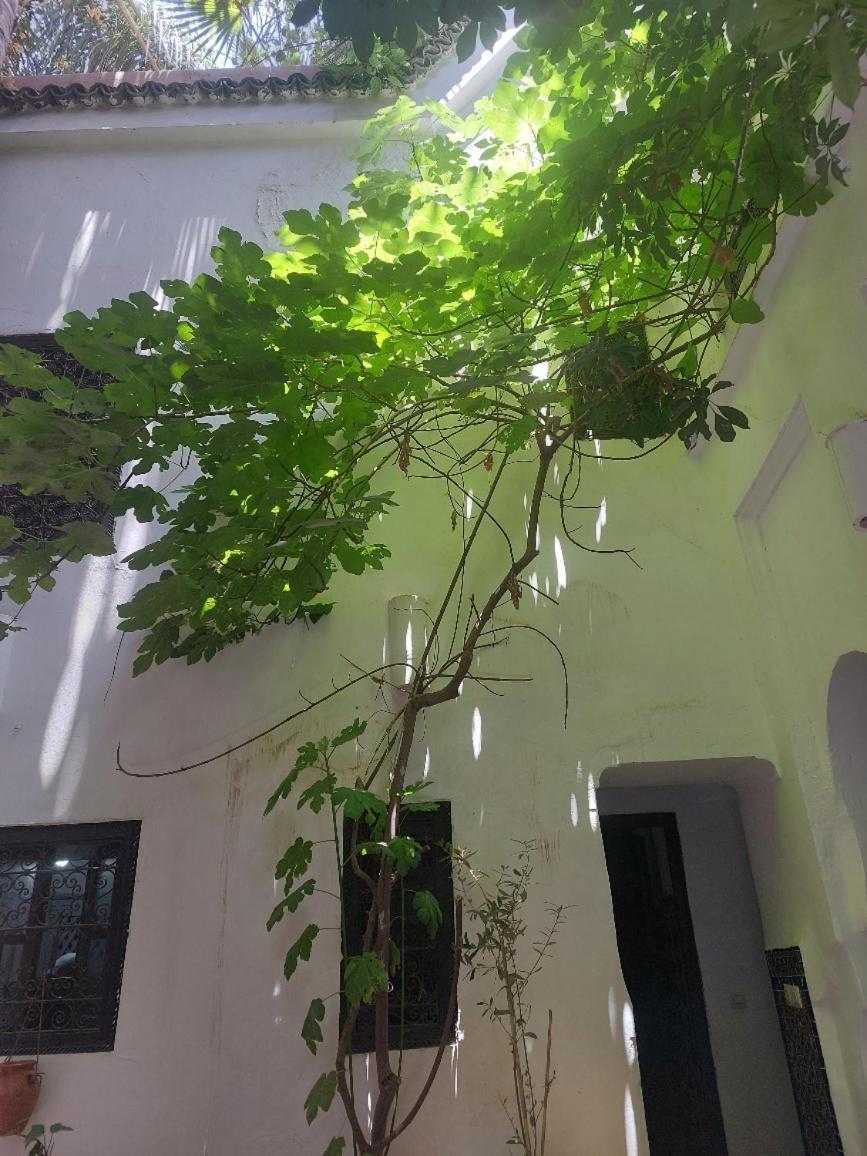 Riad Dar Lalla Fatna Marrákes Kültér fotó